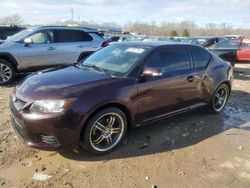 Salvage cars for sale at Louisville, KY auction: 2013 Scion TC