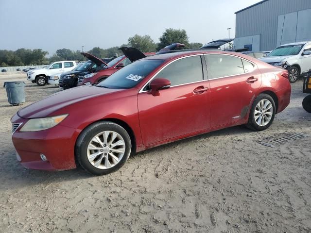 2013 Lexus ES 300H