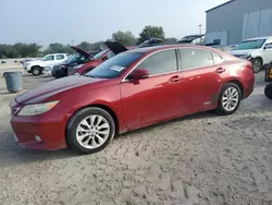 Lexus es300 Vehiculos salvage en venta: 2013 Lexus ES 300H