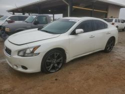 Nissan salvage cars for sale: 2014 Nissan Maxima S