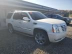 2009 Cadillac Escalade