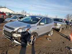 Salvage cars for sale from Copart Pekin, IL: 2013 Ford Escape SE