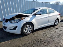 Salvage cars for sale at Windsor, NJ auction: 2016 Hyundai Elantra SE