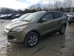 Ford Vehiculos salvage en venta: 2013 Ford Escape SEL