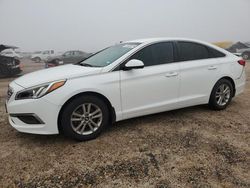 2016 Hyundai Sonata SE en venta en Houston, TX