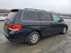 2008 Honda Odyssey EXL