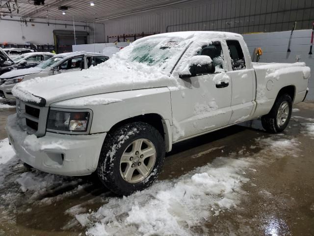 2011 Dodge Dakota SLT