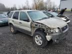 2005 Ford Escape XLT