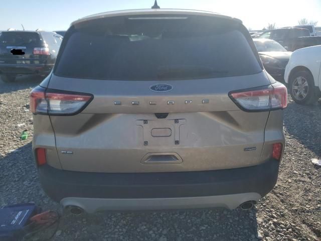 2020 Ford Escape SE Sport