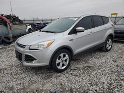 Salvage cars for sale at Cahokia Heights, IL auction: 2014 Ford Escape SE