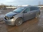 2013 Honda Odyssey EXL