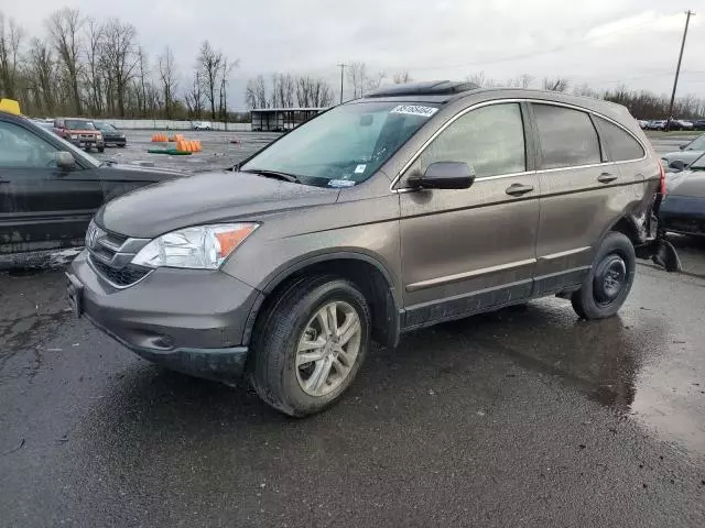 2010 Honda CR-V EXL