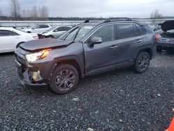 Lots with Bids for sale at auction: 2024 Toyota Rav4 Limited