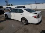 2004 Lexus ES 330