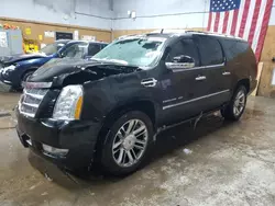 Cadillac Vehiculos salvage en venta: 2013 Cadillac Escalade ESV Platinum