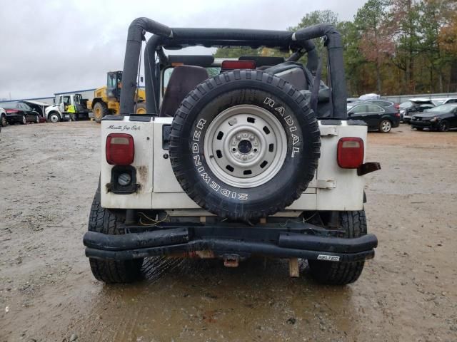 1995 Jeep Wrangler / YJ S