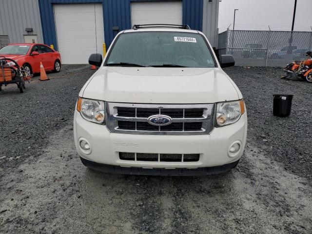 2012 Ford Escape XLT