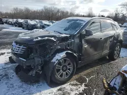 Cadillac Vehiculos salvage en venta: 2013 Cadillac SRX Luxury Collection