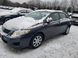 Toyota salvage cars for sale: 2010 Toyota Corolla Base