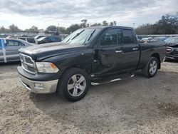 Dodge Vehiculos salvage en venta: 2010 Dodge RAM 1500