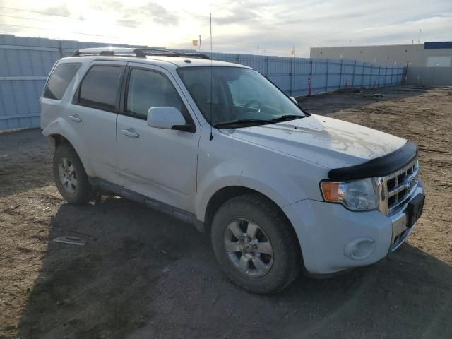 2010 Ford Escape Limited