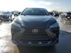 2023 Lexus NX 350