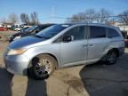 2013 Honda Odyssey EXL