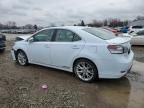 2010 Lexus HS 250H