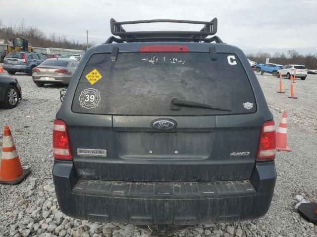 2008 Ford Escape XLT