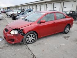 Vehiculos salvage en venta de Copart Louisville, KY: 2009 Toyota Corolla Base