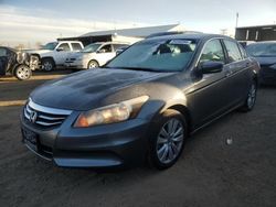 2011 Honda Accord EXL en venta en Brighton, CO