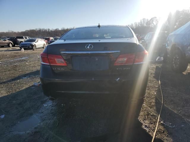 2010 Lexus ES 350