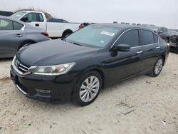 Salvage cars for sale at Taylor, TX auction: 2013 Honda Accord EXL