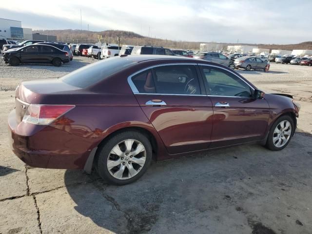 2008 Honda Accord EXL