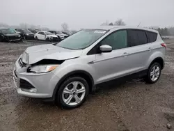 Salvage cars for sale at Columbia Station, OH auction: 2015 Ford Escape SE