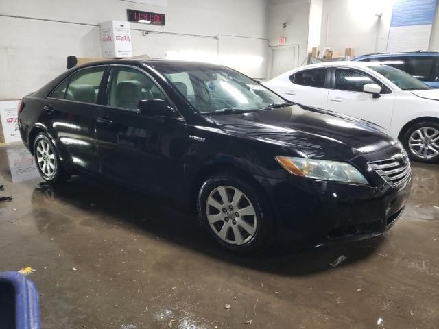 2009 Toyota Camry Hybrid