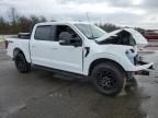 2024 Ford F150 XLT