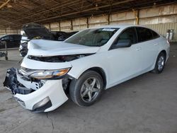 Salvage cars for sale at Phoenix, AZ auction: 2019 Chevrolet Malibu LS