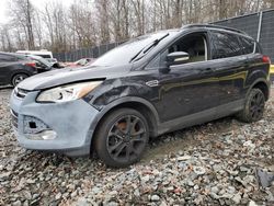 Ford salvage cars for sale: 2013 Ford Escape SEL