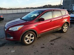 Ford Escape salvage cars for sale: 2016 Ford Escape SE