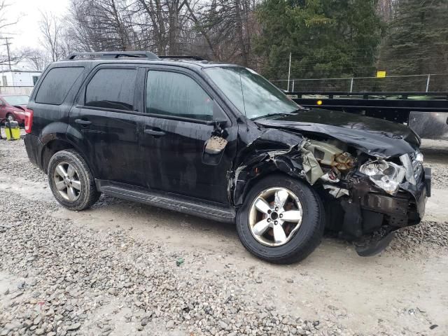 2010 Ford Escape XLT