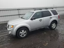 Ford Vehiculos salvage en venta: 2011 Ford Escape XLT