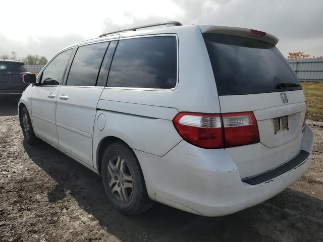 2005 Honda Odyssey EX