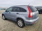 2007 Honda CR-V EX