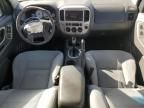 2005 Ford Escape XLT