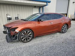 Salvage cars for sale at auction: 2019 Nissan Maxima S