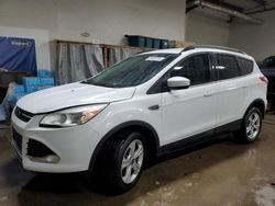 Ford salvage cars for sale: 2014 Ford Escape SE