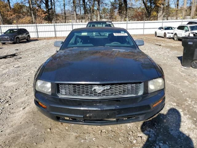 2005 Ford Mustang