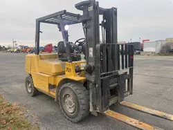 Caterpillar salvage cars for sale: 2006 Caterpillar DP40KL