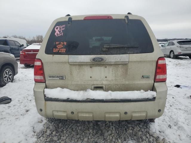 2010 Ford Escape Limited